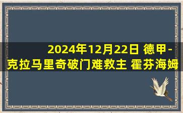 2024年12月22日 德甲-克拉马里奇破门难救主 霍芬海姆1-2负门兴